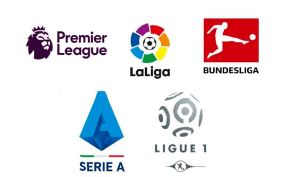 卢为球队的 卢为球队的